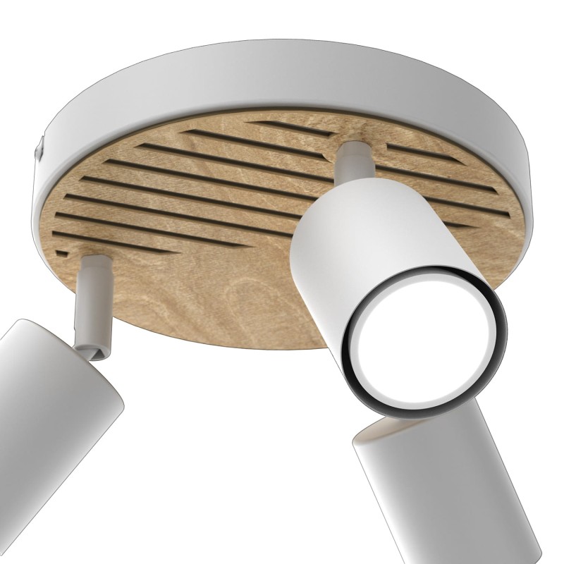 5032e9397f184a514f9bff53008fd036