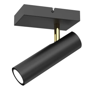 spot Axion black/gold 1xGU10