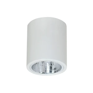 oprawa sufitowa Downlight round white 1