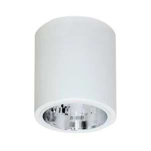 oprawa sufitowa Downlight round white 1